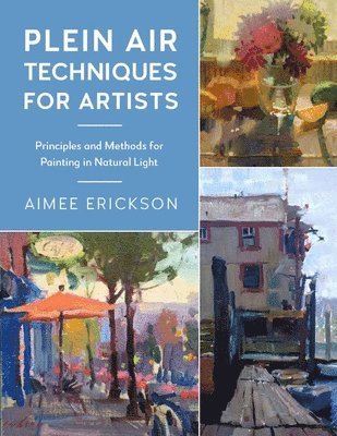 Plein Air Techniques for Artists (häftad)