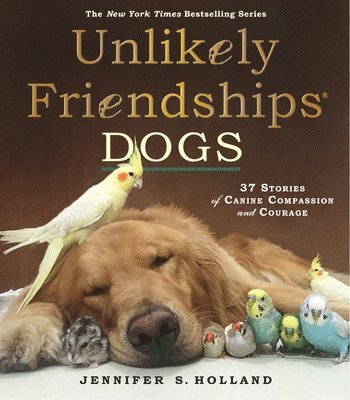 Unlikely Friendships: Dogs (h�ftad)