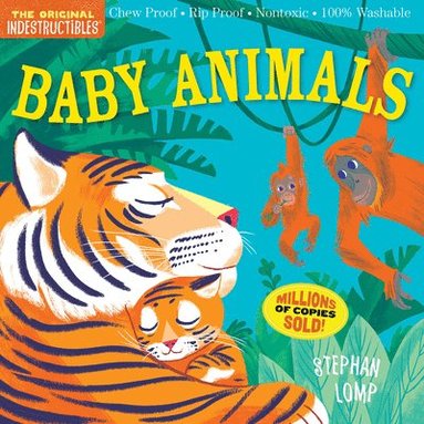 Indestructibles: Baby Animals (häftad)