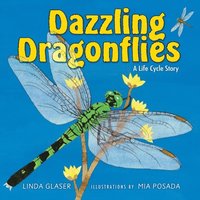 Dazzling Dragonflies (e-bok)