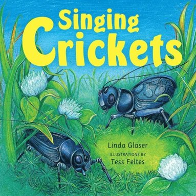 Singing Crickets (häftad)