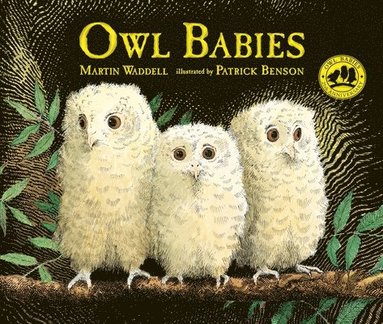 Owl Babies (inbunden)
