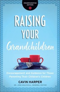 Raising Your Grandchildren - Encouragement and Guidance for Those Parenting Their Children`s Children (häftad)
