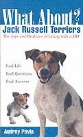 What about Jack Russell Terriers? (hftad)