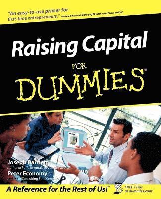 Raising Capital For Dummies (hftad)