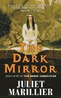 The Dark Mirror (hftad)