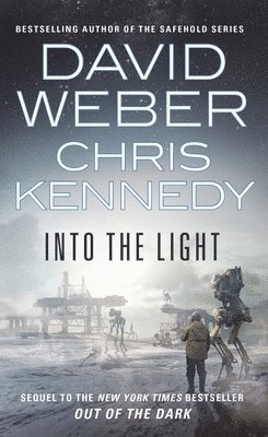 Into the Light (häftad)