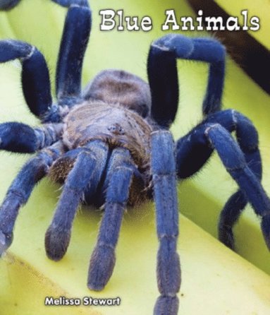 Blue Animals (häftad)