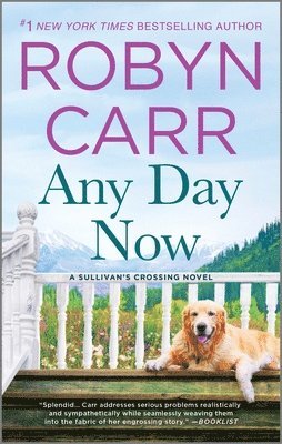 Any Day Now (häftad)
