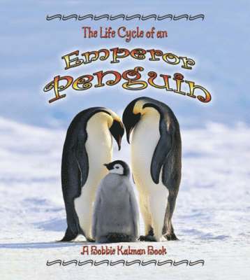 Life Cycle of the Emperor Penguin (hftad)