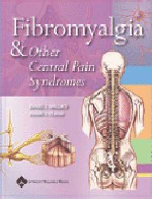 Fibromyalgia and Other Central Pain Syndromes (häftad)