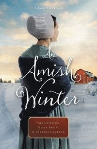 Amish Winter (e-bok)