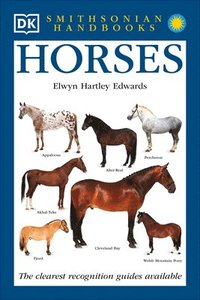 Horses (häftad)