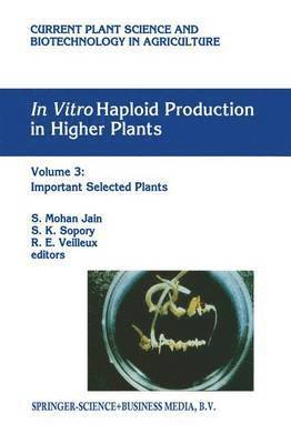 In vitro Haploid Production in Higher Plants (inbunden)