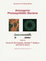 Anoxygenic Photosynthetic Bacteria (hftad)