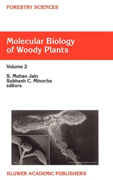 Molecular Biology of Woody Plants (inbunden)