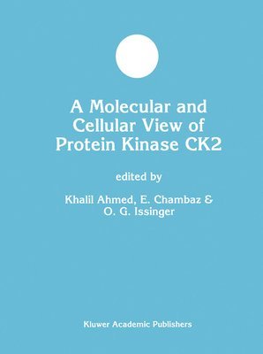 A Molecular and Cellular View of Protein Kinase CK2 (inbunden)