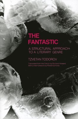 Fantastic (häftad)
