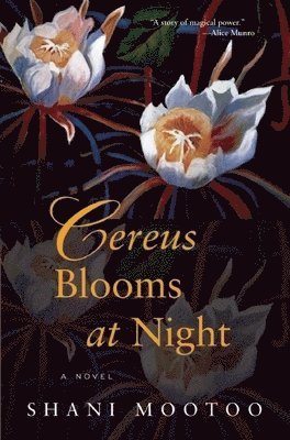 Cereus Blooms at Night (hftad)