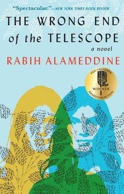 Wrong End of the Telescope (häftad)