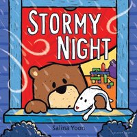 Stormy Night (e-bok)
