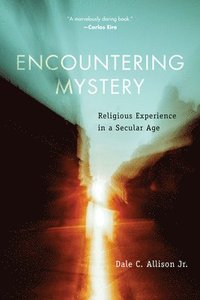 Encountering Mystery (hftad)