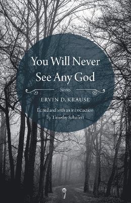 You Will Never See Any God (hftad)
