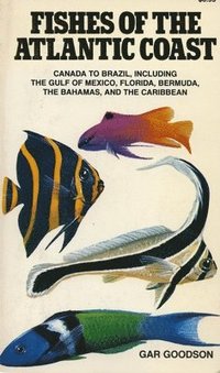 Fishes of the Atlantic Coast (hftad)