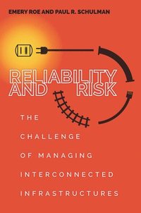 Reliability and Risk (inbunden)