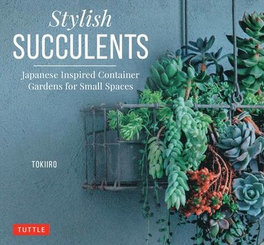 Stylish Succulents (inbunden)
