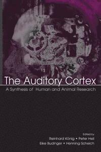 The Auditory Cortex (inbunden)