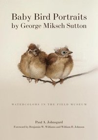 Baby Bird Portraits by George Miksch Sutton (inbunden)