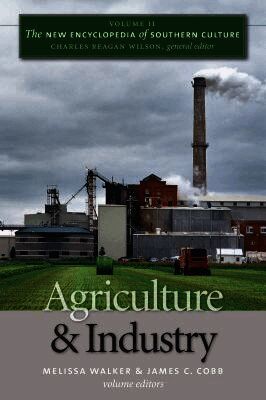 New Encyclopedia of Southern Culture