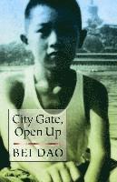 City Gate, Open Up (hftad)