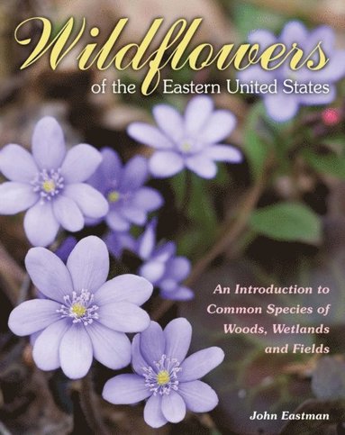 Wildflowers of the Eastern United States (e-bok)