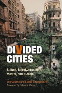 Divided Cities (häftad)