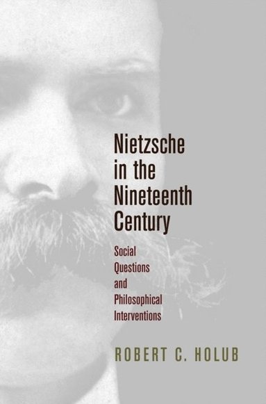 Nietzsche in the Nineteenth Century (hftad)