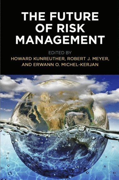 Future of Risk Management (e-bok)