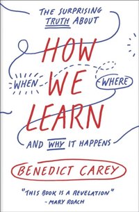 How We Learn (e-bok)