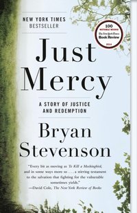 Just Mercy (e-bok)