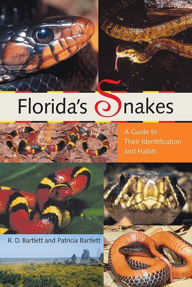 Florida's Snakes (h�ftad)