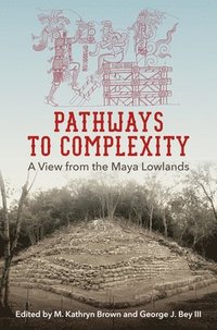 Pathways to Complexity (inbunden)