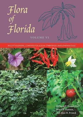 Flora of Florida, Volume VI (inbunden)