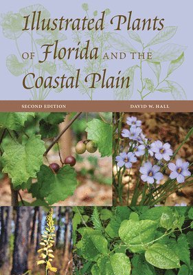 Illustrated Plants of Florida and the Coastal Plain (inbunden)