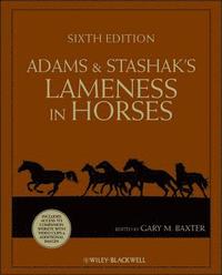 Adams and Stashak's Lameness in Horses (inbunden)