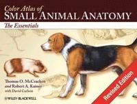 Color Atlas of Small Animal Anatomy (hftad)