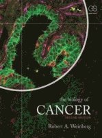 The Biology of Cancer (inbunden)