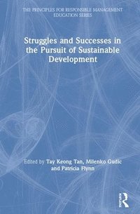 Struggles and Successes in the Pursuit of Sustainable Development (inbunden)
