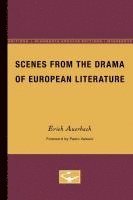 Scenes From The Drama Of European Literature (hftad)