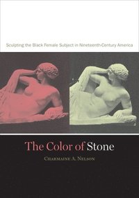 The Color of Stone (hftad)